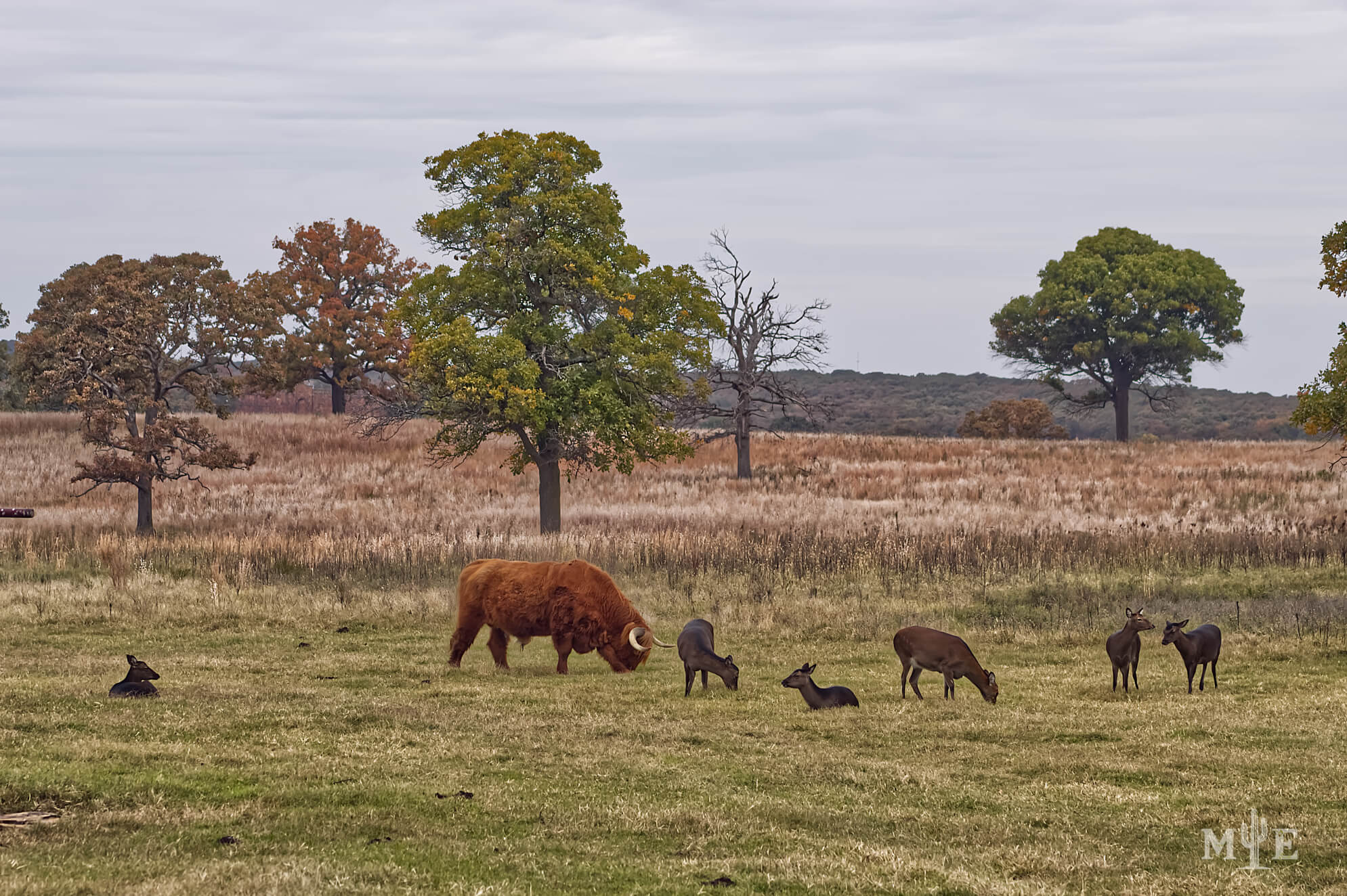 Wildlife Presence 0168